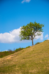 Sunny day in the springtime