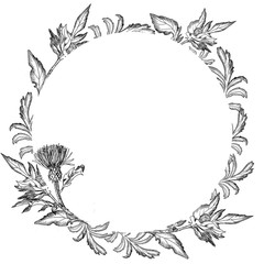 Frame for postcards black and white from leaves and flowers of a thistle on a white background. Minimalistic design for halloween, greeting cards and decoration. Witch flower. Funeral registration of 