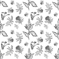 Seamless pattern for postcards black and white from leaves and flowers of a thistle on a white background. Minimalistic design for halloween, fabric and event design. Witch flower. Funeral decoration