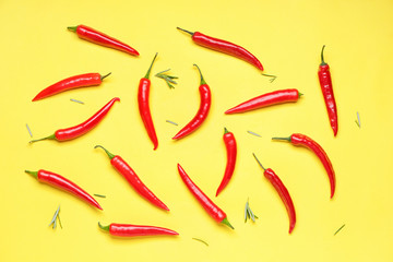 Hot chili pepper on color background