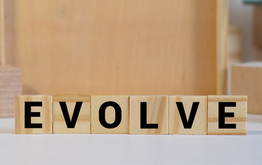EVOLVE word made with building blocks isolated on white