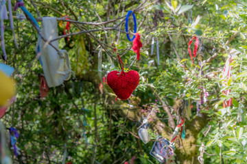 A knitted red heart tied to a clutie tree at Madron holy well, Cornwall