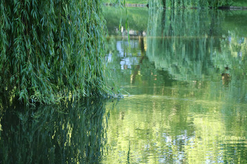 Deutschland Neckar Fluss