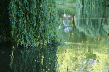 Deutschland Neckar Fluss