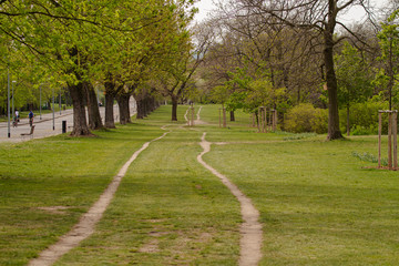 
Czech park in Prague with trees and grass in spring 2020