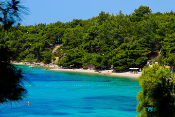 Pine forest above the beach on the island of Brac in Croatia - Turquoise waters of the Adriatic Sea