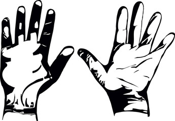 Surgical protective gloves isolated icon