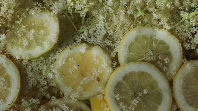 Refreshing natural drink. Lemon slices and elder flowers in water