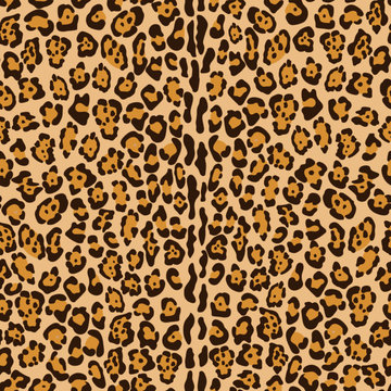 Jaguar. Vector seamless brown background, print, wild animal skin