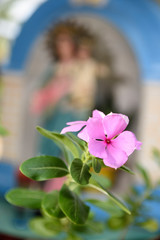 Naklejka premium Flores en el altar