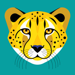 Cheetah. Head of yellow Cheetah. Wild spotted cat in flat style. Vector illustration of a predator's face. Mask or template.