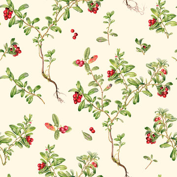 Autumn time forest cowberry watercolor seamless pattern on yellow background.