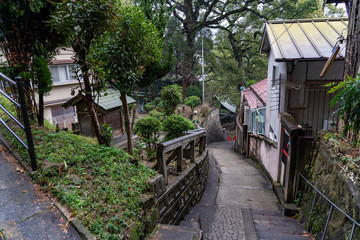 Neko-no-Hosomichi Cat Alley in Onomichi City. Lots of real and ornamental cats (fukuishi-neko), quaint cafes and galleries on this narrow street. Hiroshima Prefecture, Japan