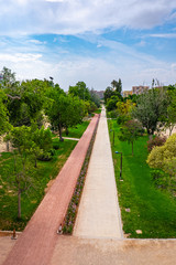 The Turia Garden is one of Spain's largest urban natural parks, a green space of over nine passable kilometers that crosses the city with playful and sporting areas