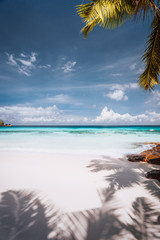 Fototapeta na wymiar Beautiful sunny tropical sandy beach. Palm trees, blue sky and white clouds. Holiday vacation concept