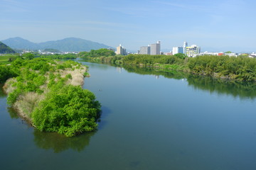 River landscape in early summer with beautiful greenery