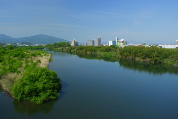 Fototapeta premium River landscape in early summer with beautiful greenery
