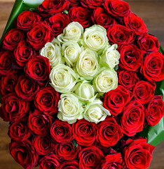red and white roses in a bouquet, a gift for the holiday, for a birthday, Valentine's Day