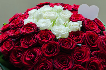 red and white roses in a bouquet, a gift for the holiday, for a birthday, Valentine's Day