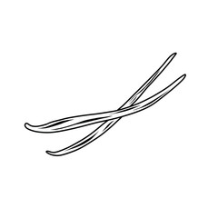 vanilla sticks doodle icon, vector illustration