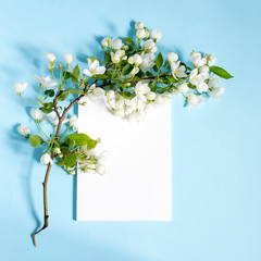 An apple branch is around a white rectangular notebook on a blue background