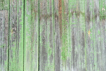 Fototapeta na wymiar Background. Wooden boards with peeling green paint