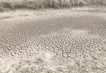 Cracked soil after got first raining 