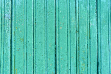 Background. Bright green wooden plank wall.