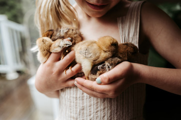 Chicks