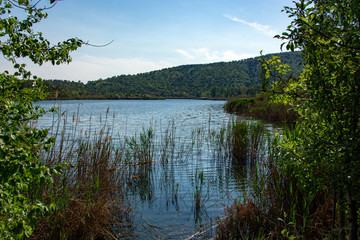 summer landscape, the river meanders and goes into perspective one bank of the river is steep and another gentle, reed thickets