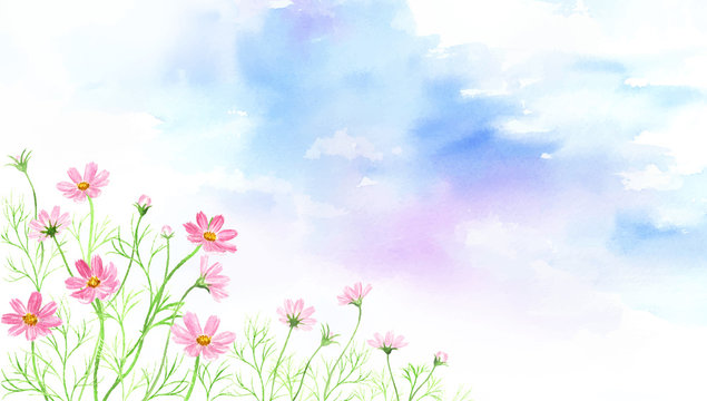 12 801 Best コスモス畑 Images Stock Photos Vectors Adobe Stock 12 801 Best コスモス畑 Images Stock Photos Vectors Adobe Stock