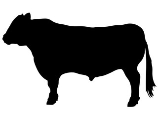 黒毛和牛シルエット_2