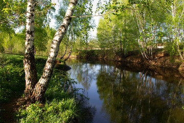 View of a small river, which reflects the trees and the blue sky. Birch trees and green grass grow near the river.
