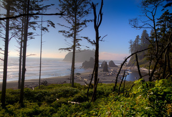 Hay Stacks of Rubies