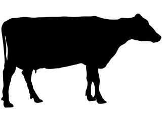 乳牛シルエット_2