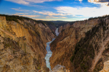 Of Yellow Of Artists