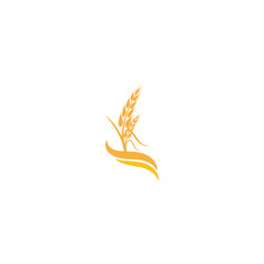 Wheat Logo Template vector symbol