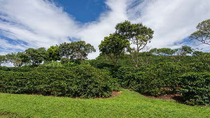 landscapes of costa rica