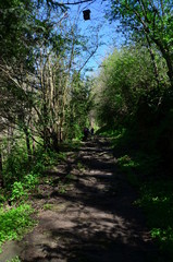 paisajes de pueblo rural con rio y cascada