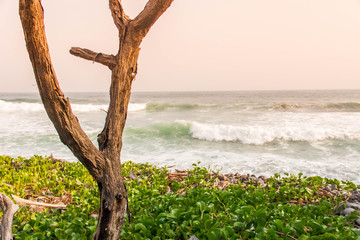 sunset at the beach © Rodrigo