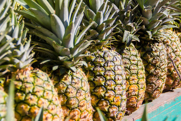 group of pineapples