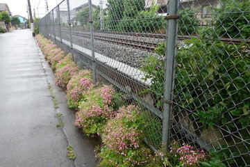 雨の日の日本の線路沿いの道