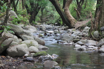 río 4
