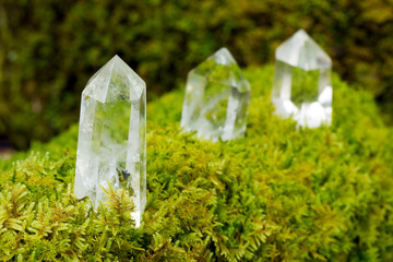 苔の上の水晶の結晶