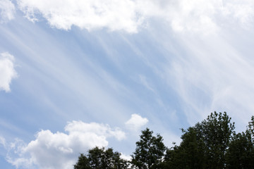 White clouds with wisps over trees.