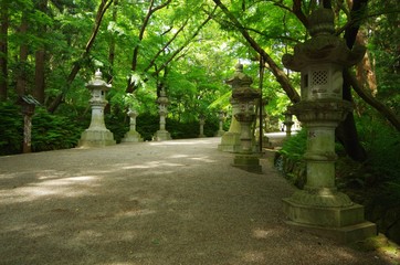 神社の参道と灯篭