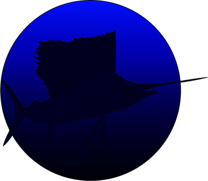 recommend clip art: outlined sailfish silhouette and blue circle 