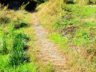 日本の田舎の風景　11月　田舎道