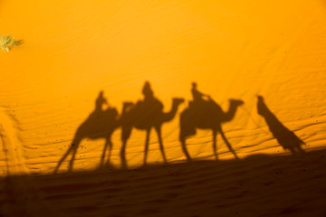 Fototapeta na wymiar The shadow of the camel caravan. Desert in Morocco.
