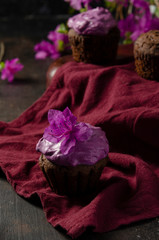 Chocolate cupcakes with beetroot cream on a dark background with flower - labrador tea or rhododendron